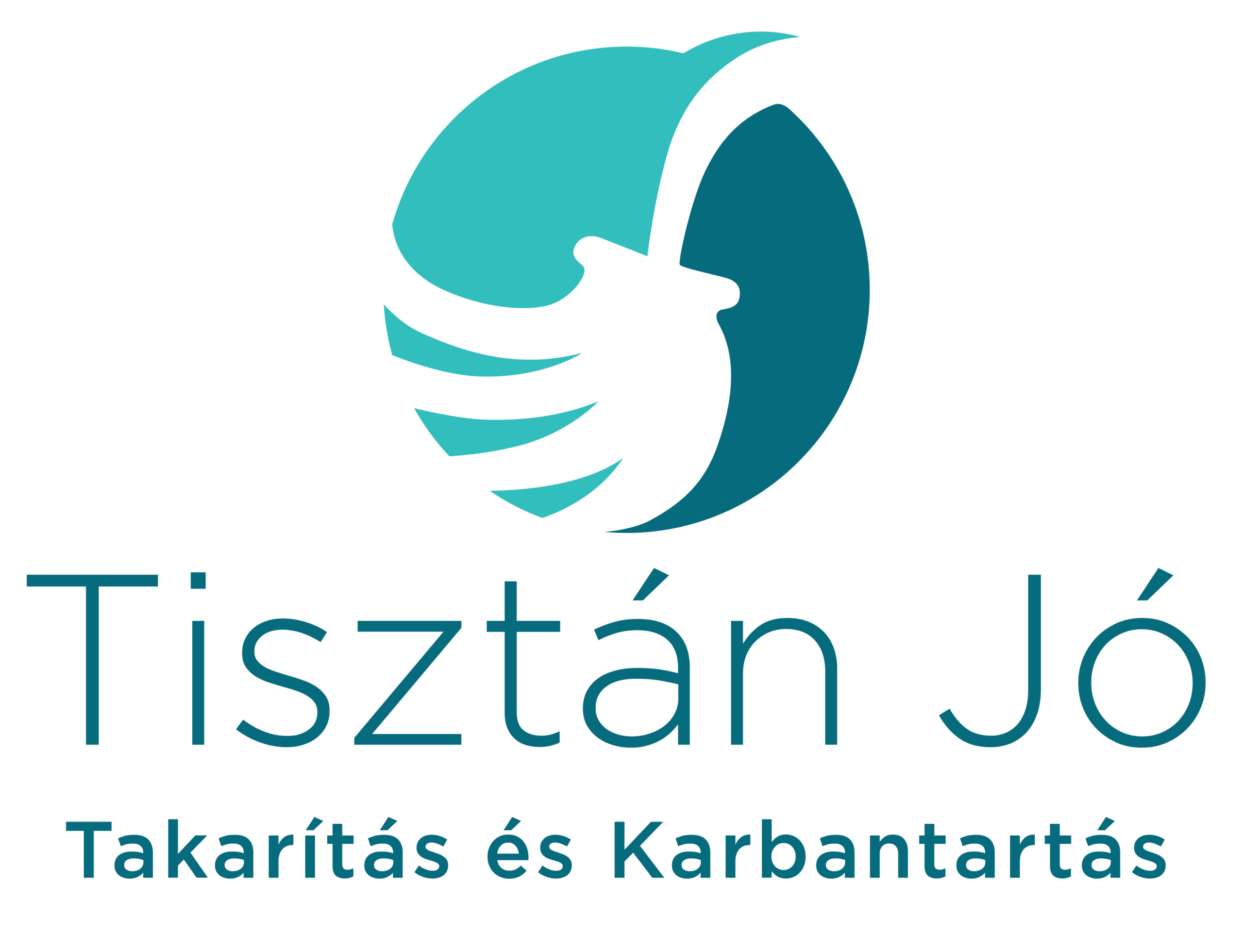 Szolgaltatasaink Scaled
